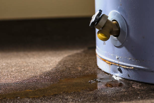 Best Water damage restoration process  in Spencerville, OH