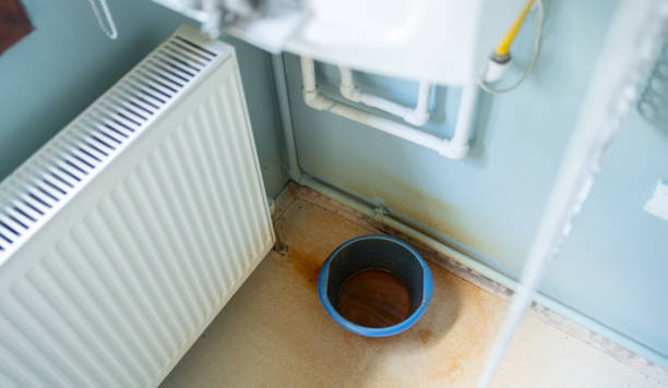 Best Professional water damage repair  in Spencerville, OH