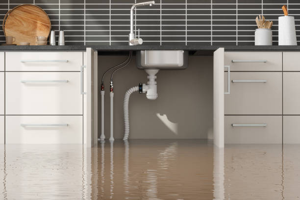 Trusted Spencerville, OH Water damage restoration Experts